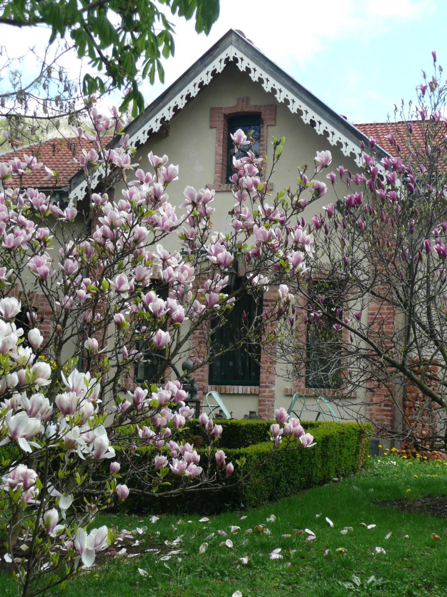 Bed and Breakfast Au Fond De La Cour Veyre-Monton Zewnętrze zdjęcie